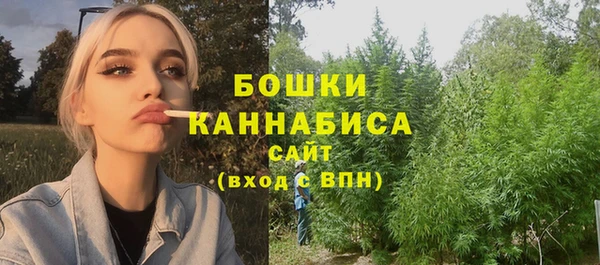 прущие грибы Абдулино