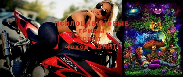 прущие грибы Абдулино