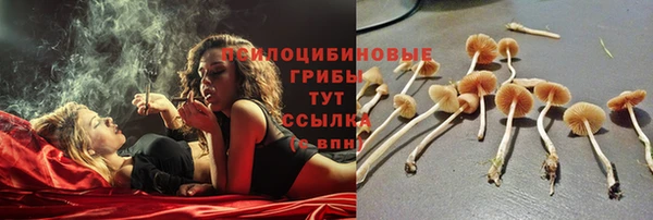 mix Абаза